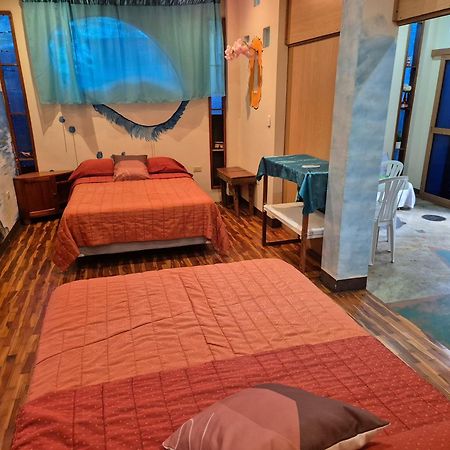 Appartamento Cozy Hosting Galapagos Puerto Ayora  Esterno foto