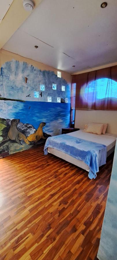 Appartamento Cozy Hosting Galapagos Puerto Ayora  Esterno foto